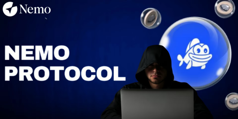 NEMO PROTOCOL HACK STÁTUSZ